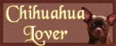 Chihuahua Lover Siggie