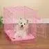 Doggy