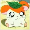 Hamtaro