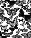 BLACK BUTERFLIES