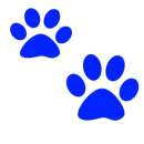 Pet Society Background