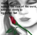 Roses...