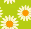 Daisy Background