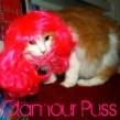 Wig Kitty