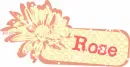Rose