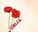 Delia