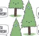 So Fresh Tree