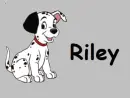 riley