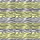 Zebra<3!