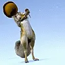 CRAZEH SQUIRELL