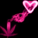Pink Marijuana