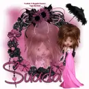Suada