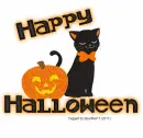 Halloween Kitty with pumpkin