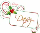 Daisy