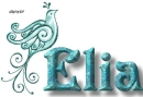 Name with Bird