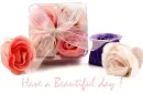 Have a Beautiful Day
