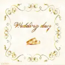 Wedding Day