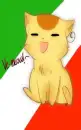catatalia~itabby