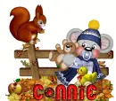 connie
