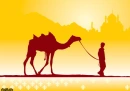 Boy with camel in sunset