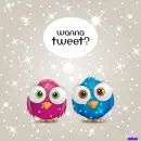 Wanna tweet
