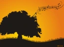 Sunset tree