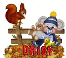 daisy