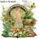 a  walk in the woods