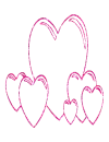 cuore