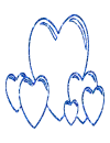 cuore