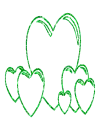 cuore