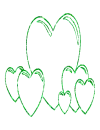 cuore