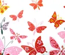 Butterfly background