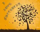 I love  butterfly!