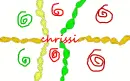 chrissi