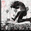 Davey jumping!