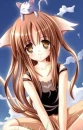 cat neko