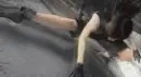 wicke tifa