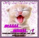 PINK COLOR HATERS!!! welcome:)