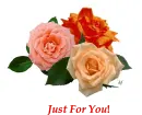 Three roses