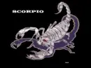 Scorpio