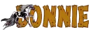 donnie country