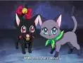 mew cat zoey and cat eillot
