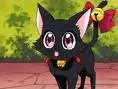 cat zoey