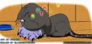 sleeping black gatomon