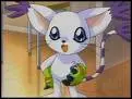 cute gatomon