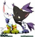 blackgatomon and gatomon love