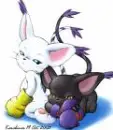 love gatomon and black gatomon