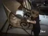 Cat slap
