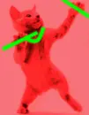 Rave Cat!!!!